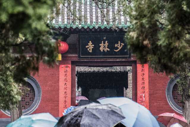 什么是兰花命 兰花命是什么意思？-第2张图片-华夏算命网